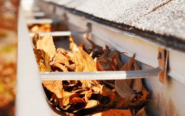 Dorleys Corner gutter cleaning companies